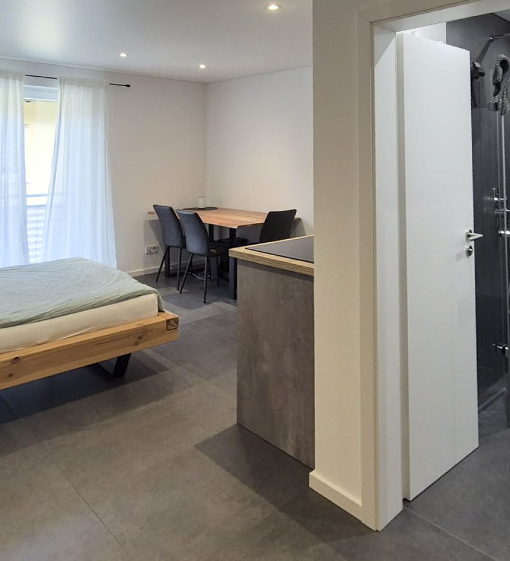 Apartment Komplettsanierung in Wiesloch 3